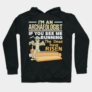 Halloween I Am An Archaeologist Hoodie